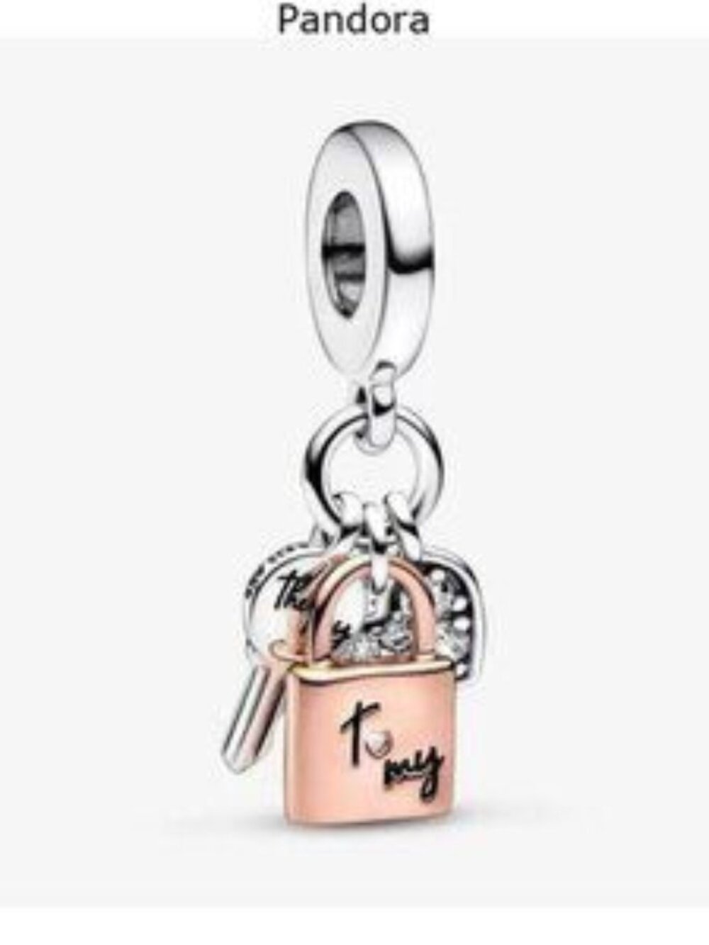 Pandora Charms